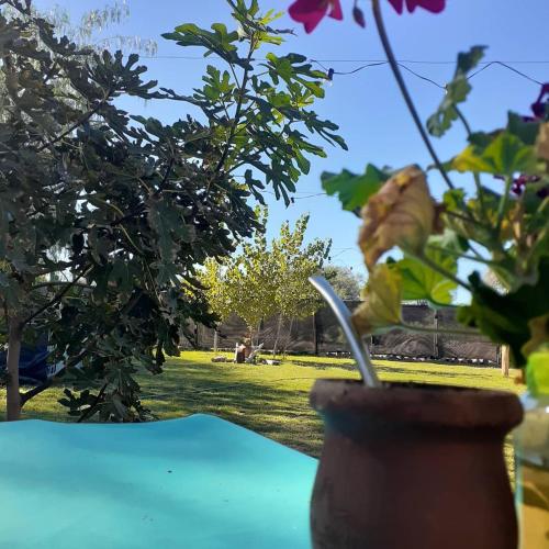 Hostal Sisabel in 蒂諾加斯塔