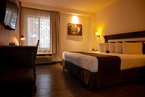 Photo - Hotel Victoria Express