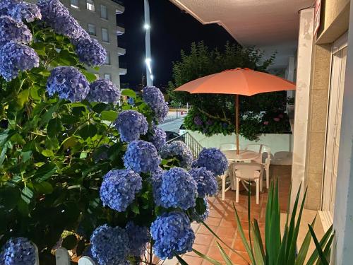 Apartamento Sanxenxo Playa Silgar 30m