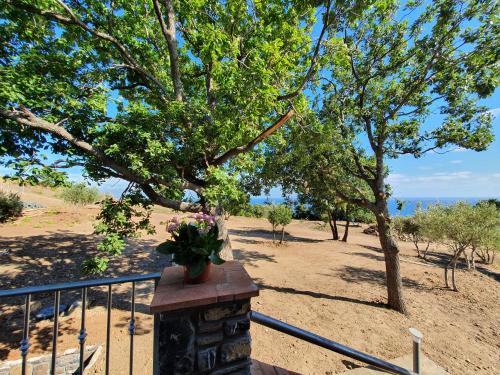 Agriturismo Le Terre di Veneré