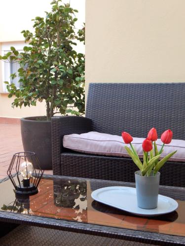  Cal Carinyo, allotjament familiar, Unterkunft in Amer