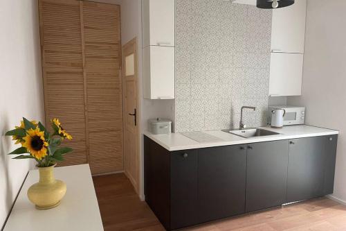 Apartament Seagull 30m2 (300 meters to the sea)