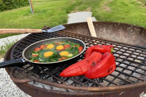 Glamping Yurts near Newquay Glamping Yurts near Newquay