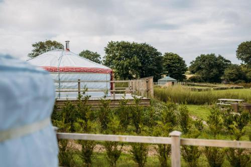 Glamping Yurts near Newquay Glamping Yurts near Newquay