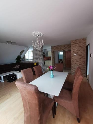 APARTMENTS V+K - image 11