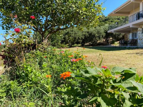 Garden, Ionian Blue View in Riza