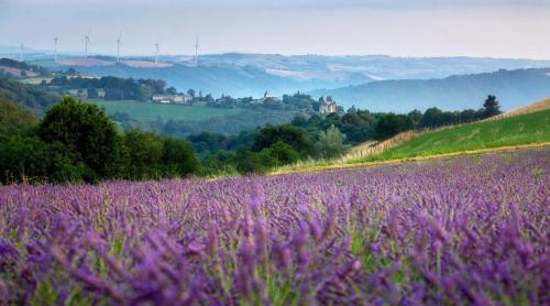 Gîte au Ferme de Lavande gîte à louer Paulin