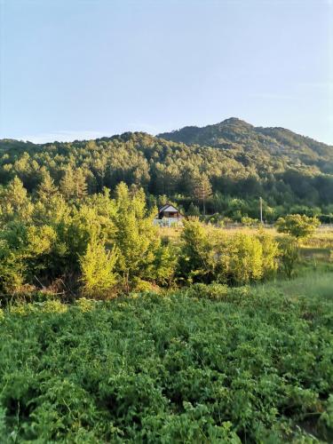 Trebinje - Lastva - Vikendica Vukovic-