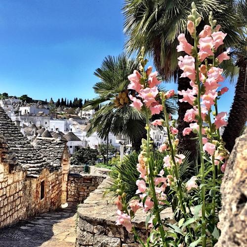 Trulli e Puglia Resort - image 13