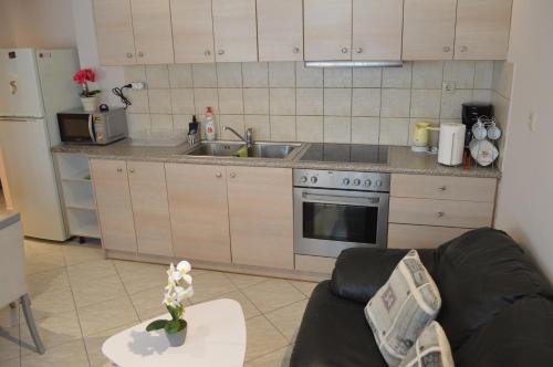 Anastasias Apartment center City