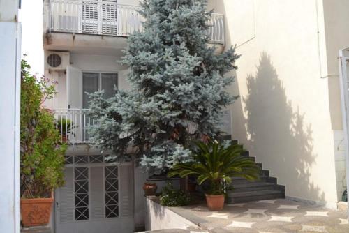  My Angels B&B in Pompei