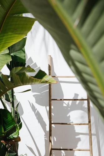 La Bohemia del Rio Hostal Boutique-Adults Only - image 6