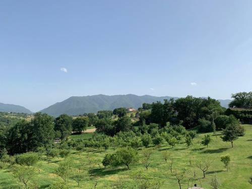 Camera doppia, vista sul giardino