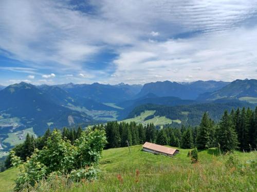Instalaciones, Ferienwohnung Brittenberg Alpaka in Schwarzenberg