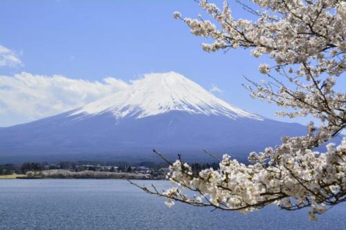 Laffitte Tokyo