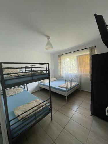 Apartament Andrei