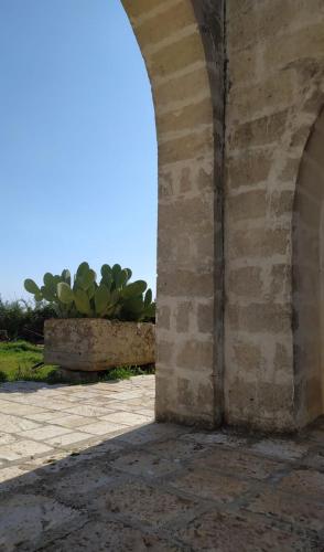 B&B Masseria Cappotto