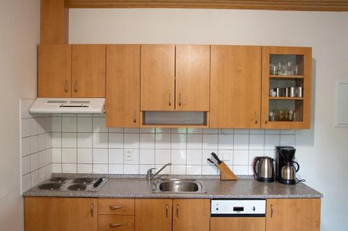 ห้องครัว, Apartmán ve SkiResortu Poustevník - Pec pod Sněžkou (Apartman ve SkiResortu Poustevnik - Pec pod Snezkou) in เพค พอด สเนซคู