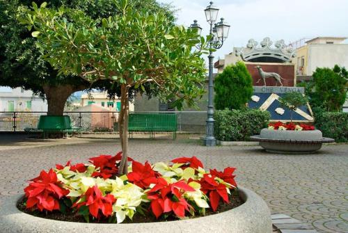 Casa vacanze Il Giardino