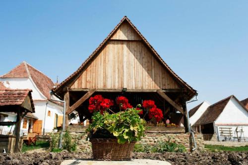 La Hansi in Criț
