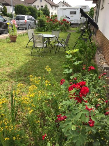 外部景觀, Cosy 3 Zimmer Whg incl großer Wohnkuche, Smart TV, WLAN, Eutelsat & Astra Satelliten TV, viele Parkp in 美茵河畔富樂紳