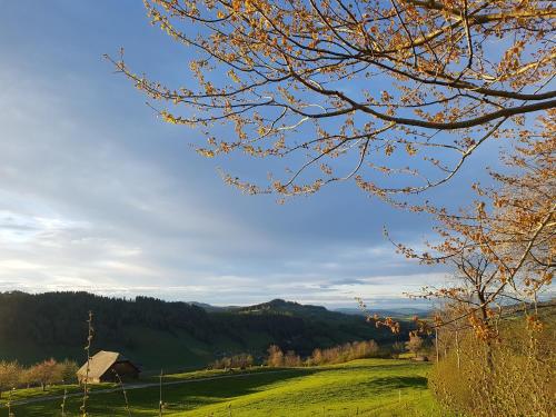  B&B Hof Grosschreie in Hasle