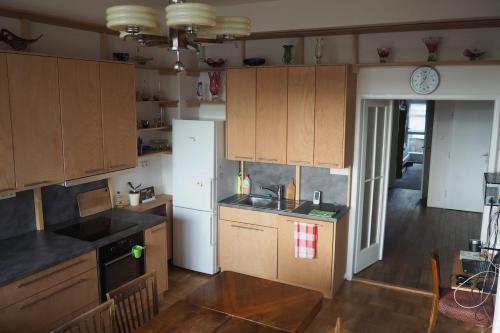 Rodinný apartmán v centru Prahy, Praha (fotografie 7)