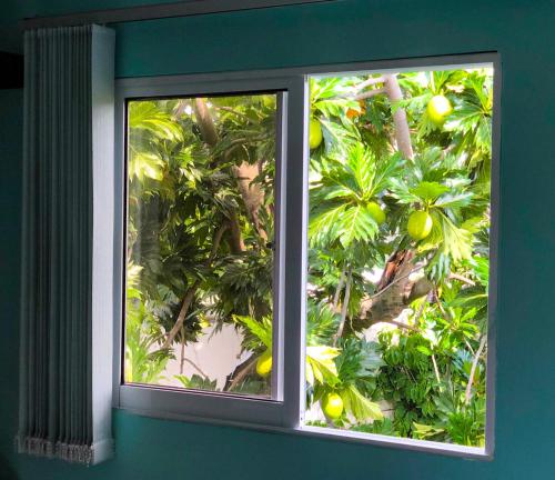 Posada Nativa Bernard Place – San Andres Island, NM