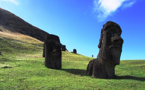 Cabañas Te Maori