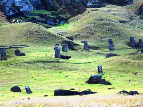 Cabañas Te Maori