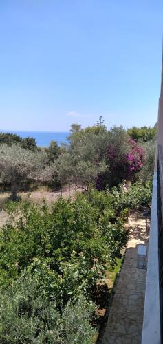 Geranium Villa by the sea