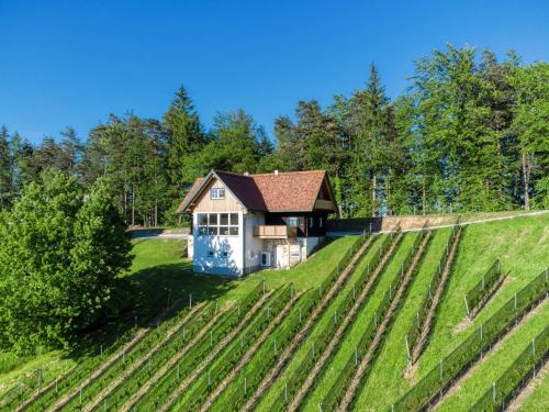 Ferienhaus Wagnerfranzl in Eibiswald, Österreich