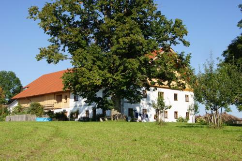 Ferien beim Baur - Apartment - Bayersoien