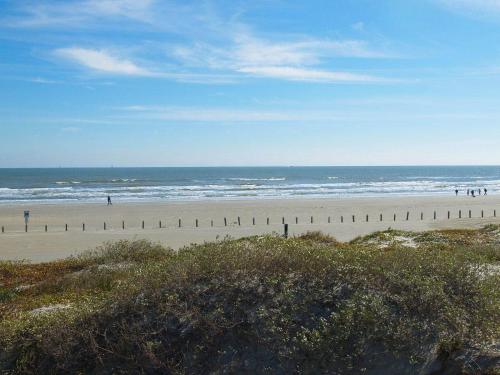 Blue Crab 107 BH - image 9