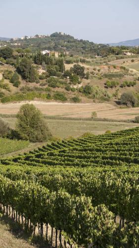 Agriturismo San Gregorio