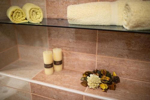 Apartment image 1