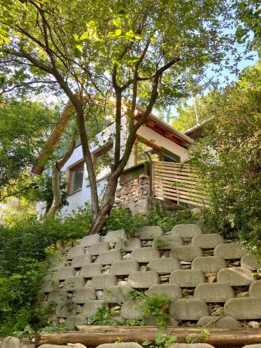 Rustic Cottage & Garden Retreat on Buda Hilltop