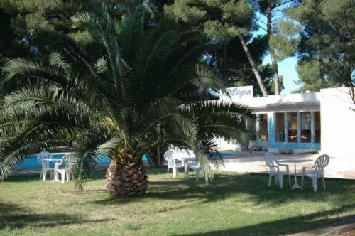 Citotel Le Mirage - image 4