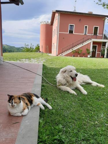 Agriturismo La Vita e Bella