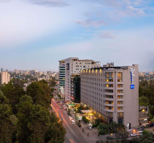 酒店外观, 亚的斯亚贝巴丽笙酒店 (Radisson Blu Hotel, Addis Ababa) in 亚的斯亚贝巴