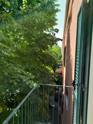 Lilium Lecce Centro photo