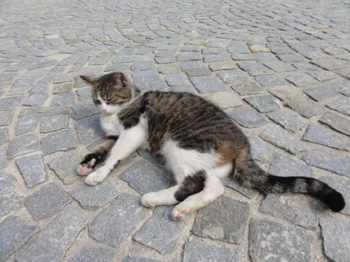 Biohof Weissensteiner - Apartment - Ullrichs