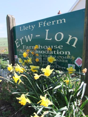 Erw-lon Farm, , West Wales