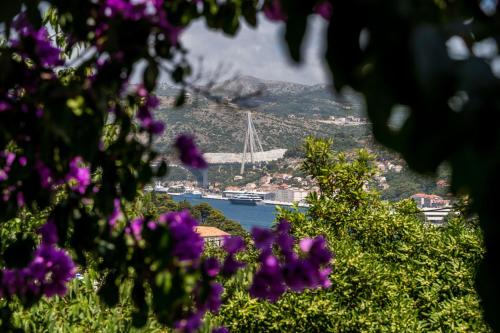 Apartment Luka - image 12
