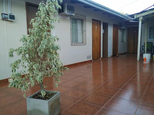 Iguazu Rey Hostal