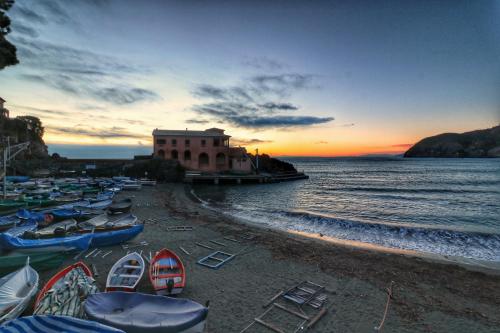 La Pulce Salata - image 2