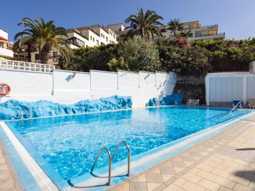  Live Pez Azul in Puerto de la Cruz