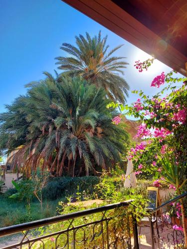ระเบียง/ชานเรือน, Golden Palms Guest House & Cafe in ฟามากุสต้า