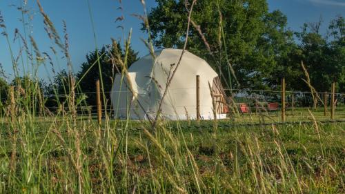 Dome Géodésique