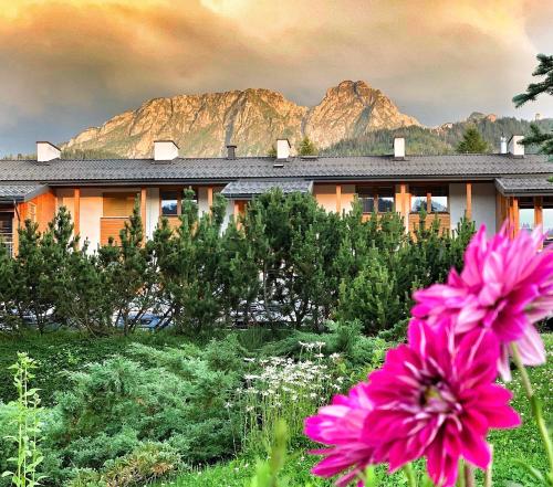 Apartament Leśny z kominkiem - Viva Pod Giewontem Apartamenty, Zakopane